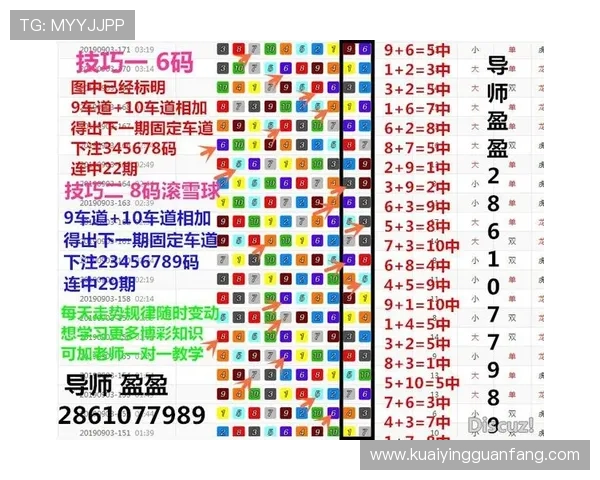 极速飞艇玩法解析与投注技巧全攻略助你稳赢每一局