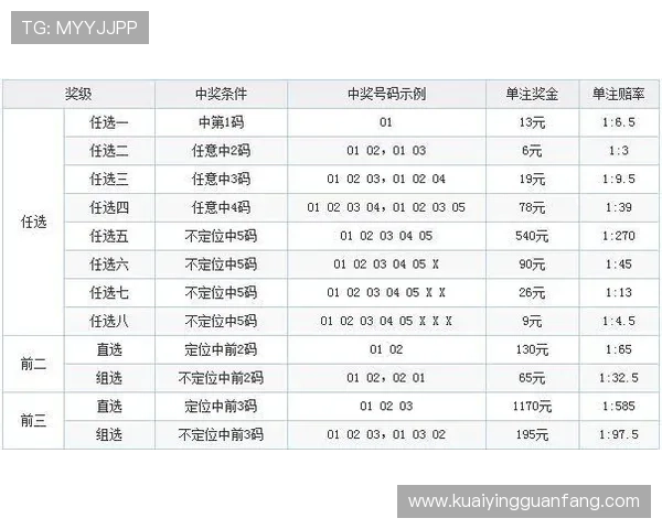11选5玩法解析与投注技巧全面指南助你提高中奖概率