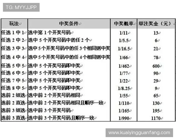 掌握十一选五新浪彩票技巧提高中奖概率全攻略
